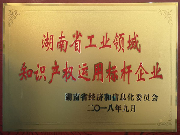 湖南省工業領域知識產權運用標杆企業